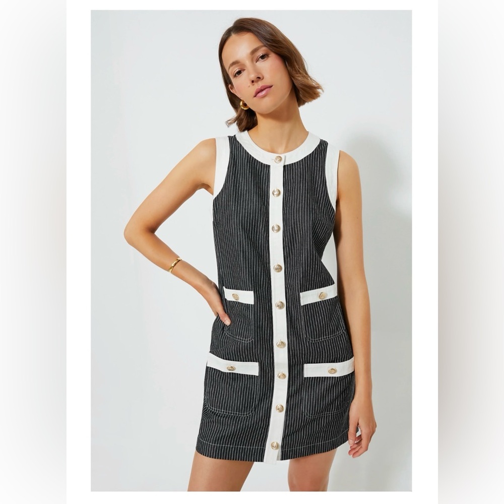 Small Tuckernuck Pomander Place Black Stripe Voileta Dress